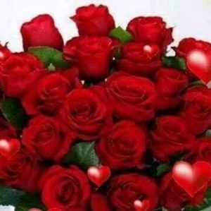 Meet your Posher, Alysha